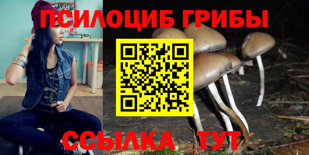 Петрозаводск  Псилоцибиновые грибы мицелий  Галлюциногенные грибы мицелий  Вход с VPN 