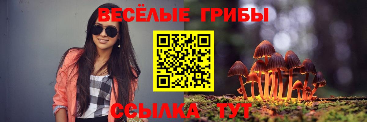 Псилоцибиновые грибы мухоморы Петрозаводск